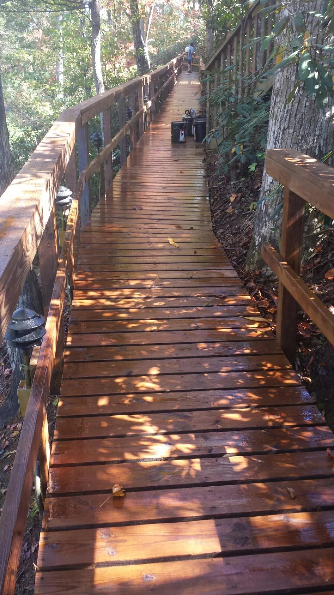 Freshly stained wood walkway winding through the woods in Homestead